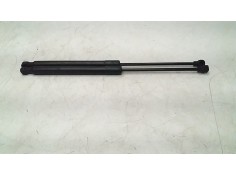 AMORTIGUADORES CAPO 654700462R 