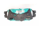 CUADRO INSTRUMENTOS 248100029R 248100029R 