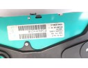 CUADRO INSTRUMENTOS 248100029R 248100029R 