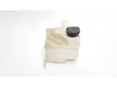 DEPOSITO EXPANSION 254311P000 