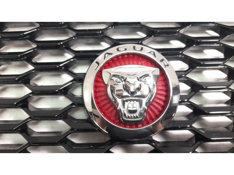 Recambio de rejilla delantera para jaguar e-pace first edition referencia OEM IAM J9C38A100AA  