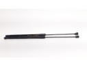 AMORTIGUADORES MALETERO / PORTON 61CM260N 61CM260N 39089133