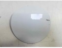 TAPA EXTERIOR COMBUSTIBLE 96898751 