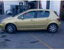 PEUGEOT 307 (S1)