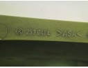 MOLDURAS TRASERAS 253041L 