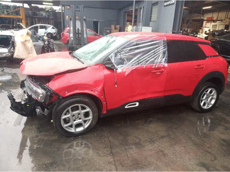 citroen c4 cactus del año 2019