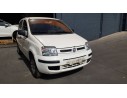 FIAT PANDA (169)