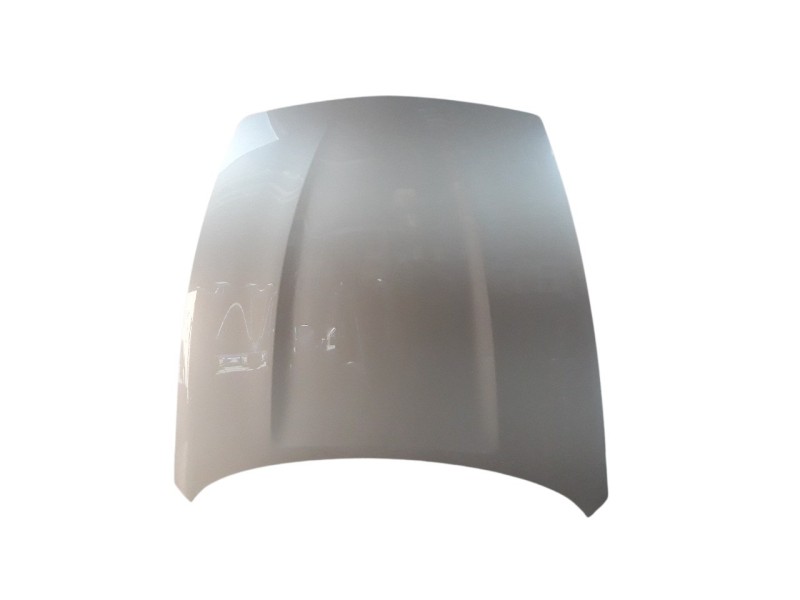 Recambio de capo para nissan 370 z (z34) 3.7 v6 24v cat referencia OEM IAM FEA0M1EAMA  