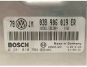CENTRALITA MOTOR UCE 038906019ER 038906019ER 0281010704