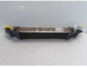 INTERCOOLER 2025001100 30864 