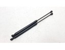 AMORTIGUADORES MALETERO / PORTON 904514512R 904514512R 