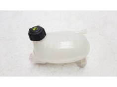 DEPOSITO EXPANSION 217102572R 