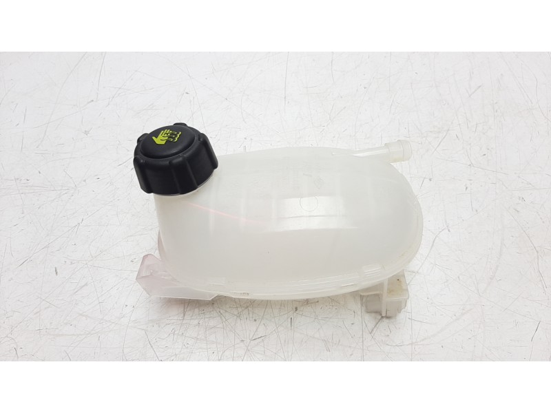 Recambio de deposito expansion para dacia sandero referencia OEM IAM 217102572R  