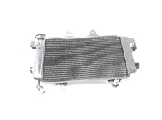 RADIADOR AGUA 93035010033 