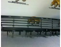 REJILLA PARAGOLPES CENTRAL 1400262 1400262 OP0562120 107162606