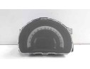 CUADRO INSTRUMENTOS 248210068R 248210068R 