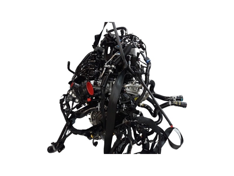 Recambio de motor completo para kia niro referencia OEM IAM G4LL  