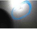CAPO 109010830 AA0803100