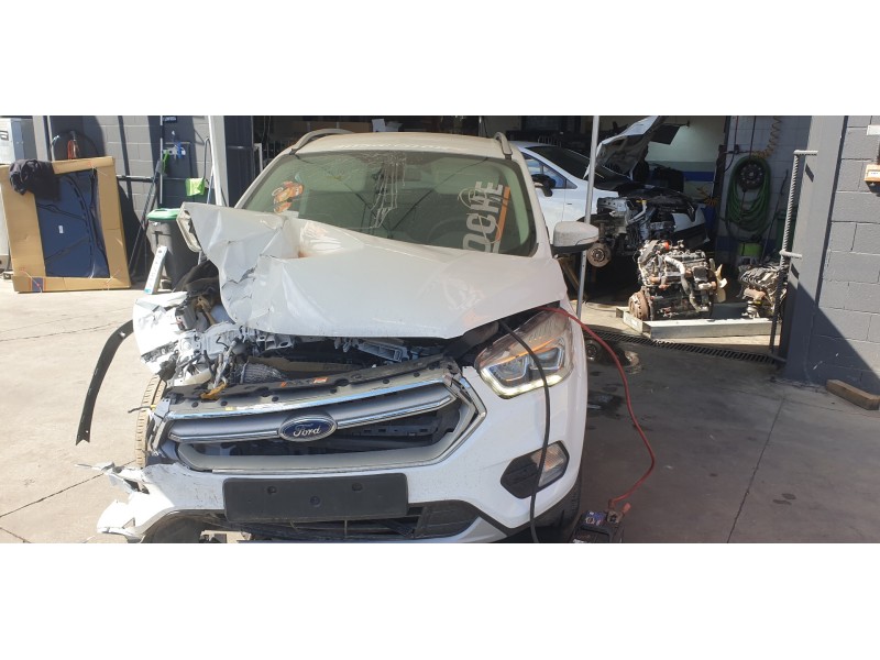 ford kuga (cbs) del año 2019