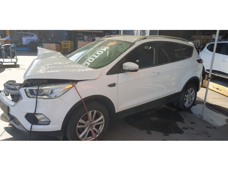 ford kuga (cbs) del año 2019