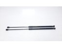 AMORTIGUADORES MALETERO / PORTON 315005777 315005777 61CM260N