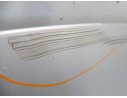 CAPO 4860455AG 4860455AG DG0053100