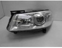 FARO IZQUIERDO 260603054R 260603054R RN4224902 10119491002