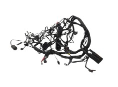 Recambio de modulo electronico para bmw f 800 r f 800 r referencia OEM IAM 61118556429  