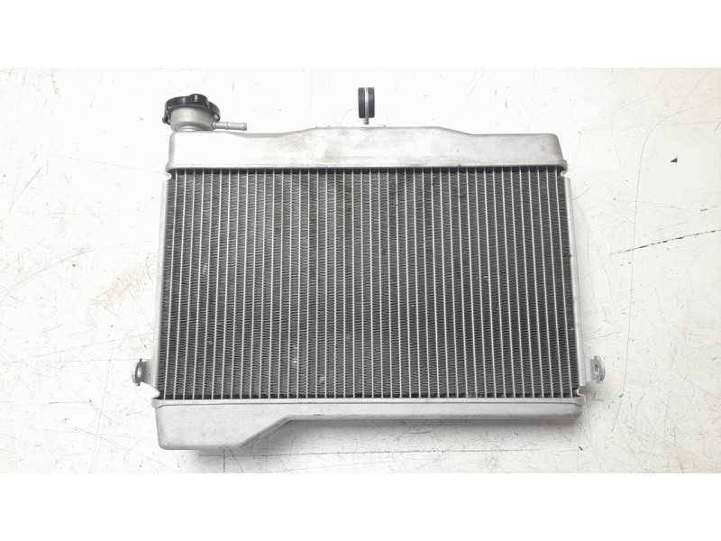 Recambio de radiador agua para yamaha tenere 700 referencia OEM IAM BW31246100  