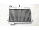 RADIADOR AGUA BW31246100 BW31246100 