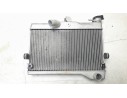 RADIADOR AGUA BW31246100 BW31246100 