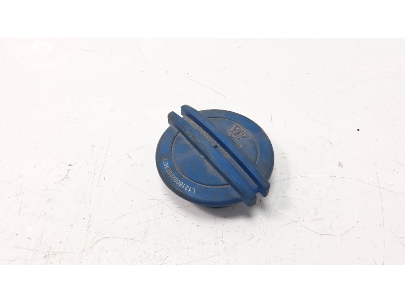 Recambio de deposito expansion para seat ibiza (6j5) 1.4 16v referencia OEM IAM 3B0121321  