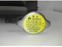 RADIADOR AGUA 4545000703 4545000703 