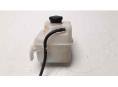 DEPOSITO EXPANSION 254302S050 