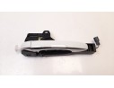 MANETA EXTERIOR TRASERA IZQUIERDA 806070266R 806070266R 