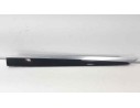 MOLDURA 917177905 