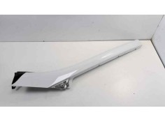 Recambio de moldura para renault scenic iii dynamique referencia OEM IAM   