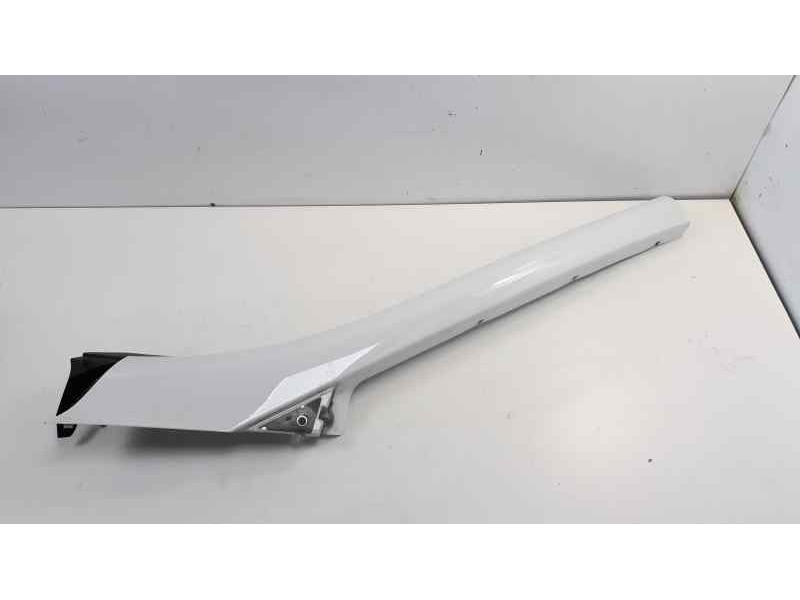 Recambio de moldura para renault scenic iii dynamique referencia OEM IAM   