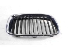 REJILLA DELANTERA 19297610 107063315 BM0282013