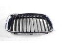 REJILLA DELANTERA 19297610 19297610 BM0282013 107063315