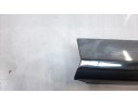 MOLDURA 801862526R 