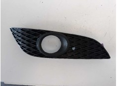 REJILLA PARAGOLPES DERECHA 13225765 107164515 