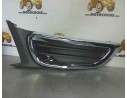 REJILLA PARAGOLPES DELANTERO 742255 742255 CI7052122