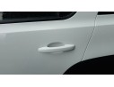 MANETA EXTERIOR TRASERA IZQUIERDA 806068654R 806068654R 