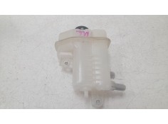 DEPOSITO EXPANSION G910G42010 