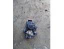 SERVOMOTOR 61441070000 