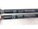 AMORTIGUADORES MALETERO / PORTON 81770H8010 81770H8010 
