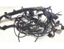 CABLEADO ELECTRICO T2501749 T2501749 