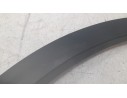 ALETIN TRASERO IZQUIERDO 788752684R 788752684R 107180536