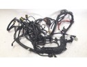 CABLEADO ELECTRICO 1D003481 1D003481 